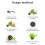 Multiuse Water Plant Growing Substrate Hydrophyte Pant Base-L 5