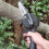 High-Quality Replacement Pole Saw Chain, Single Pack For Hassle-Free Tree Pruning, Lightweight & Compatible With Various Models 2