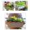 Elegant Medium Plastic Garden Pots-Light gray basin plu 4
