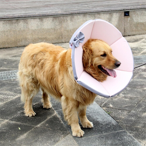 Comfortable Recovery Collar For Dogs And Cats Soft After Surgery Multiple Sizes Available 2