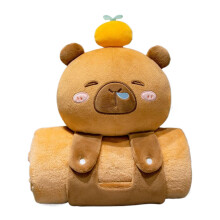 Capybara Kids' Sleeping Mat, Travel Pillow, Comfortable Blanket, Portable, 30 x 25 cm