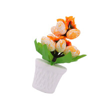 Oeufs imprimés simulés, plante en pot, décoration de-Orange