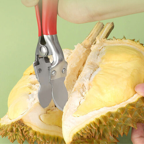 Durian Opener 430Stainless Steel Texture Practical and Sturdy 1
