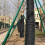 Functional Black Tree Bandage Wrap Protects Barks From-10CMX80M 5