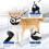 Dog Muzzle for Biting and Barking Prevention, Adjustable Size, Durable Material, Training Tool for Dogs 2