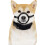 Dog Pet Muzzle Basket For Small Dogs, Adjustable Training Muzzle To Stop Barking And Chewing, Comfortable And Secure 3