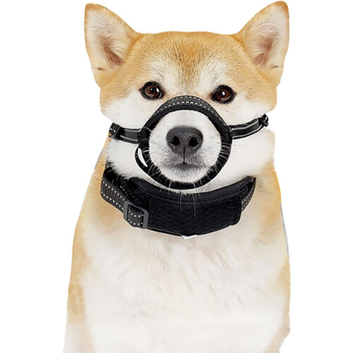 Dog Pet Muzzle Basket For Small Dogs, Adjustable Training Muzzle To Stop Barking And Chewing, Comfortable And Secure 2