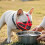 Dog Muzzle For Large Dogs Adjustable ChewingProof BitingProof Stop Barking Training 5