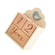 Baby Milestone Blocks Set with Interchangeable Numbers and Words, Wooden Photo Props for Newborn