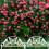 Durable And Practical Garden Edging Solution, Weather-Resistant Reusable Courtyard Guardrail, Protective And Multi-Purpose Decorative Fences For 3