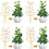 2pcs Iron Garden Plant Support Stake with Cable Ties Vine-White 6
