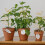 2pcs Iron Garden Plant Support Stake with Cable Ties Vine-White 5