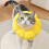 Safe Cat Collar Pet Wound Recovery Licking Prevent-M 7
