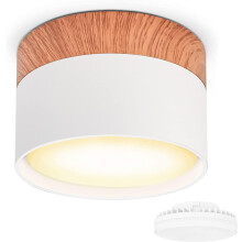 Plafoniera con faretto LED dimmerabile, stile nordico e facile sostituzione della lampadina per una manutenzione senza problemi (design ultrasottile)