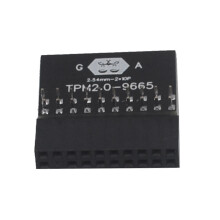TPM V5 Verschlüsselung Sicherheitsmodul Remote Card Motherboard