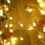 Decorative Globe Lights for Patio, IP44 Waterproof USB Powered LED String Lights with Remote Control, Warm White 8 Lighting Modes Timer Function for 4