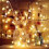 Decorative Globe Lights for Patio, IP44 Waterproof USB Powered LED String Lights with Remote Control, Warm White 8 Lighting Modes Timer Function for 3