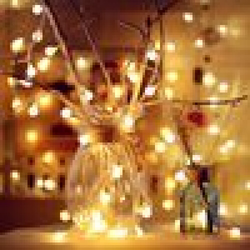 Decorative Globe Lights for Patio, IP44 Waterproof USB Powered LED String Lights with Remote Control, Warm White 8 Lighting Modes Timer Function for 2