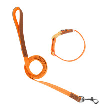 Dog Collar Leash Slip Lead Walking Leash Collar Rope-L Orange
