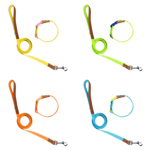 Collier solide pour animaux de compagnie, laisse longue-S Vert 1