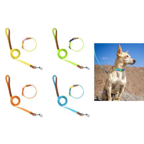 Collier solide pour animaux de compagnie, laisse longue-S Vert 2