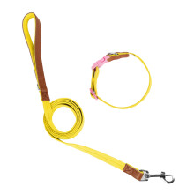 Heavy Duty Dog Collar Leash for Large Medium Dogs-XS Yellow