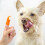 4PCS Pet Dog Finger Toothbrush for Travel Use Teeth Cleaning 2