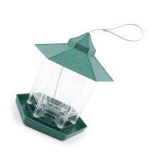 Mangeoire transparente pour Pigeons et perroquets,-Vert