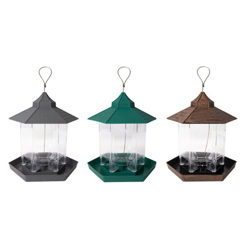 Mangeoire transparente pour Pigeons et perroquets,-Vert 1