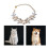 Colliers de chats, collier de costume, collier de princesse-M C 2