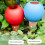 4Pcs Plant Watering Stakes Automatic Plant Waterers for 5