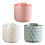 Beautiful Rotatable Brush Storage Container Easy to Use-Blue 2