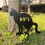 Don't Pooping Courtyards Ornaments Yard Inserted Iron-cat 5