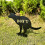 Gartenpfahl „Don't Dog Pooping Stake“ Yard Art-Katze 2