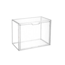Durchsichtige Kunststoff-Vitrine für Sammelpuppen und-3
