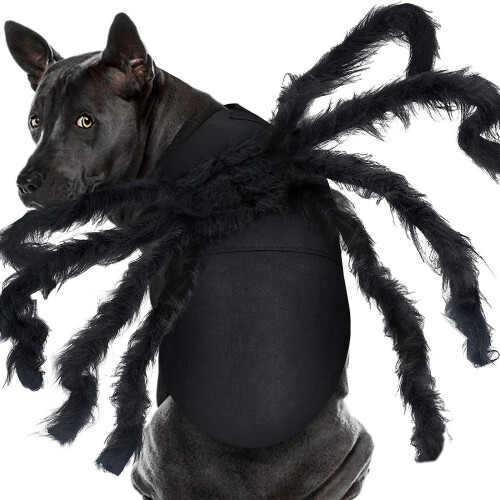 Pelziges Spinnen-Hunde-Outfit, langes Bein, dunkle-M
