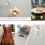 White Contact Paper Clear Cellophane Wrap, Folded at Half Width for Space-Saving, Durable Material Ensures Protection and Longevity 4
