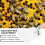 Beekeeping Tool Set Stainless Steel Hive Scraper Sharp Tines Cleaning Wax Propolis Comfortable Grip Plastic Handle For Beehive Boxes 2