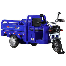 Pull Back Vehicles, Metal Tricycle Toy, Cool Tricycle Design for Children, Easter Gifts, Birthday Surprises, Reward Ideas, Nursery Blue