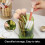 Makeup Brush Storage Container Convenient Cosmetic Tool-Clear 5