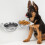 Hängende Hunde-Futterspender, Wandhalterung, Katzenfutter, 2