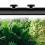 150/300pcs Drip Irrigation 1/4Inch Barbed End Plug Drip-300pcs 3
