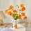 Pots de fleurs de mode de vase d'affichage en forme de-orange 6