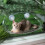 Cat Window Perch with Stable Suction Cups, SpaceSaving Hammock Bed for Glass Window 2