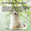Cat Window Perch with Stable Suction Cups, SpaceSaving Hammock Bed for Glass Window 4