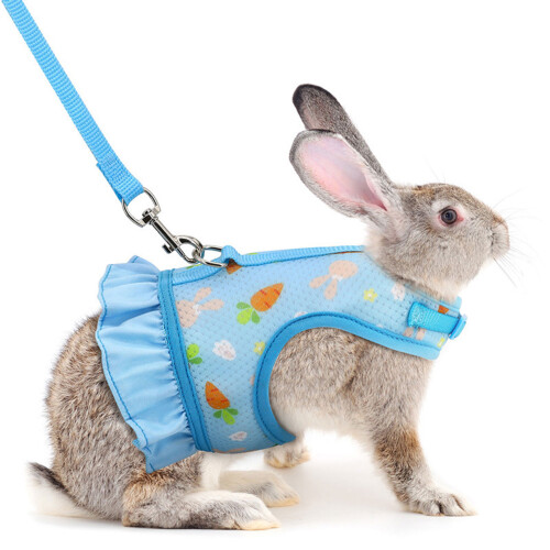 Harness Leash for Pet Safe Walk Running (Carrot Pattern)-blue S 1