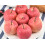 Accessoires de photographie de fruits de serpent de simulation 6