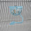 Screw on Bird Parrots Feeding Container Large Capacity Feeders 6