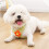 Hundeweste, schöne Blumenleine für das Training,-M Rosa 6