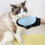 Pet Grooming Gloves for Small and Medium Pets (Multicolour) Blue 3